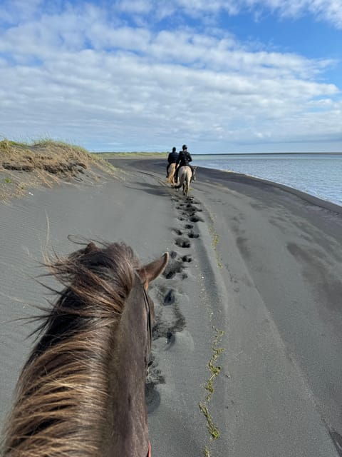 Southern Iceland: Black Beach Riding Tour