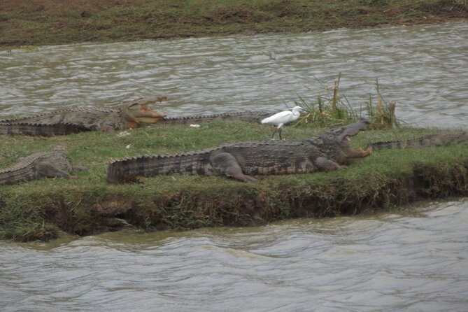 Special Yala Safari Tour From Hambantota Port