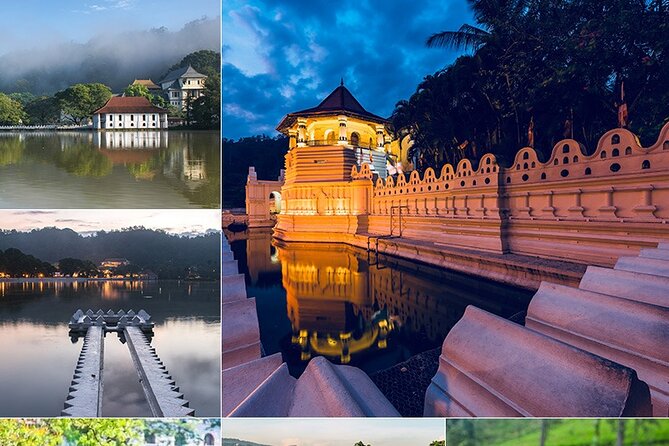 Srilanka Private 8Days Tour Friendly Chauffeur+Vehicle With & Without Hotel H/B