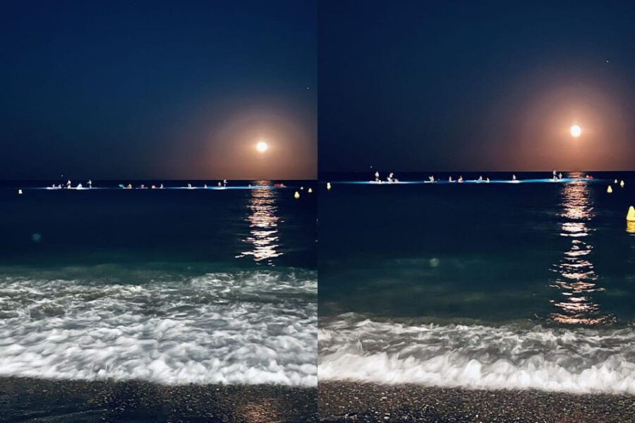 Stand up Paddle With Professional Lights in Barcelona - Activity Overview