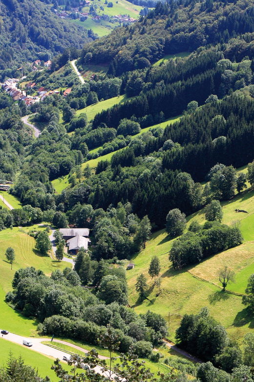 Strasbourg: Black Forest and Baden Baden Day Trip
