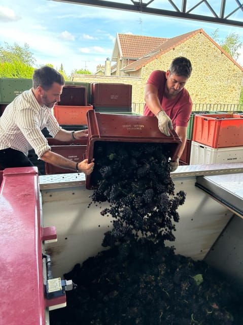 Tailormade Experience in Champagne