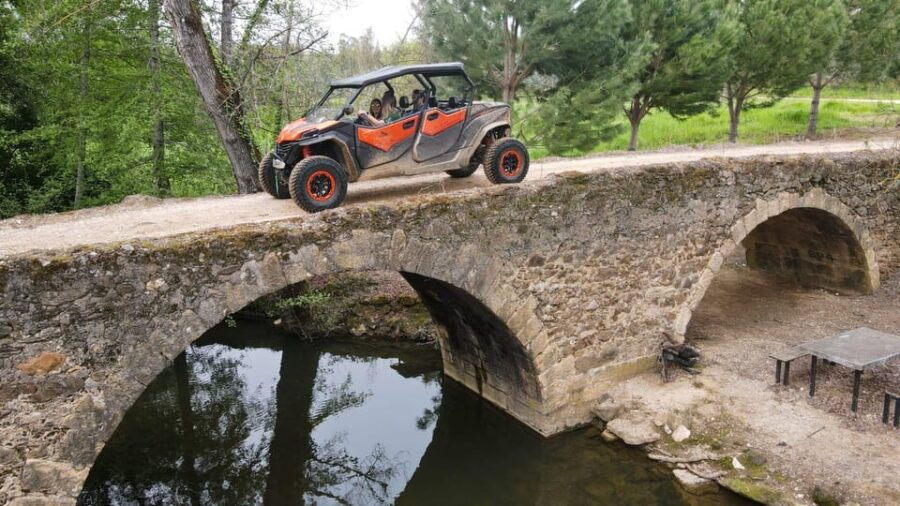 Take Buggy Tour