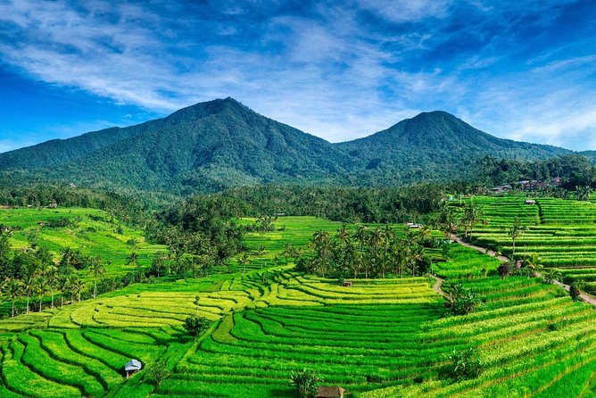 Tanah Lot – JatiLuwih (UNESCO) – Ulun Danu Temple – Wanagiri Hill – Free WiFi