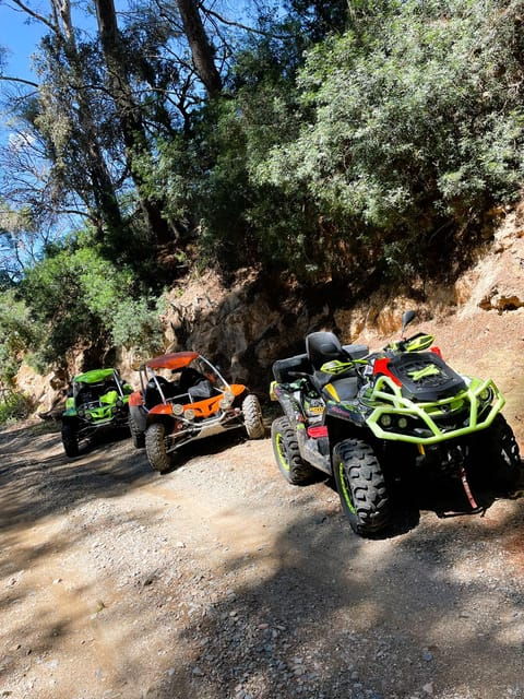Tarragona: Quad and Buggy Adventure Tour