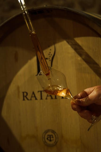 Tasting Experience: Discover Our Champagnes in Marne Valley