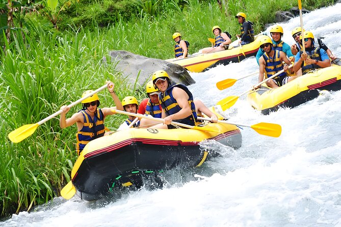 Telaga Waja Rafting and Bali Best Waterfalls Tour
