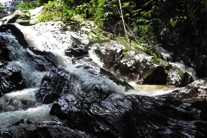 Templer Park Tour – a Rendezvous With Nature