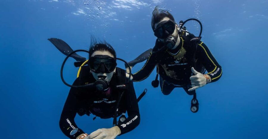 Tenerife – 2 Guided Dives for Certified Divers – Half Day