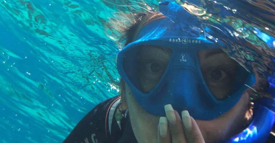 Tenerife: Alcalá Guided Snorkeling Tour - Tour Overview