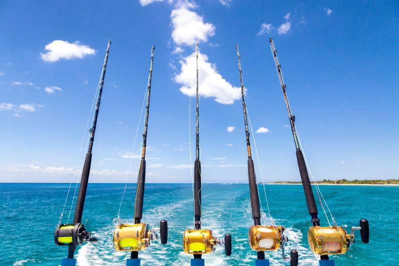 Tenerife: Deep Sea Fishing Private Charter - Overview and Pricing
