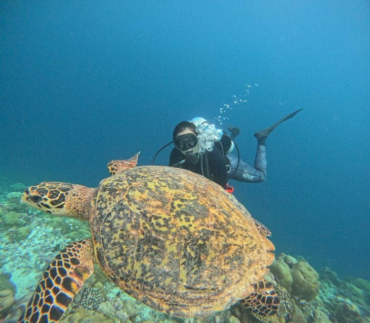 Tenerife – Discover Scuba Diving Experience With Instructor
