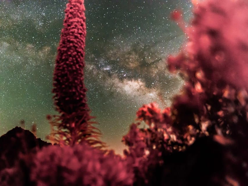 Tenerife: Explore the Universe – Teide Telescope Experience