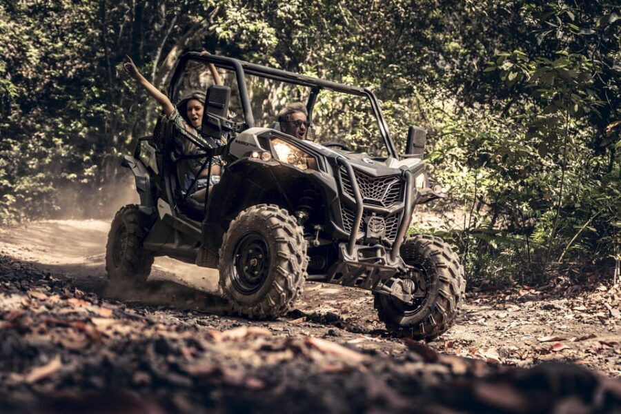 Tenerife: Guided Buggy Discovery Tour Around Mount Teide