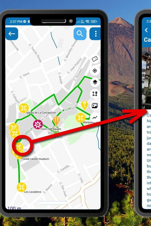Tenerife: Island Exploration Guide App With Offline Content