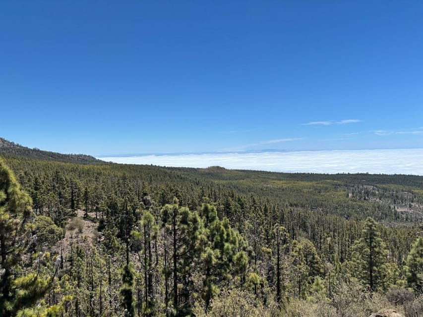 Tenerife: Premium E-Bike Ride at Chineyro Volcanic Area