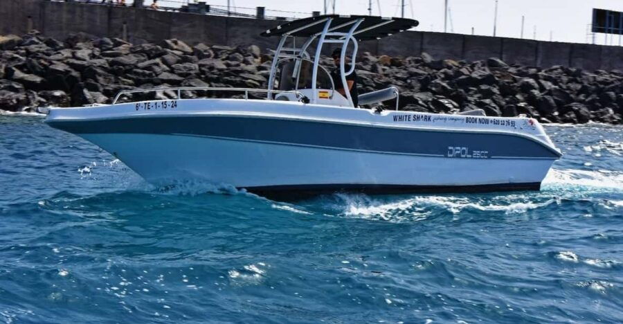 Tenerife: Private Boat Tour 7 Hours, Private Groups With All Inclusive