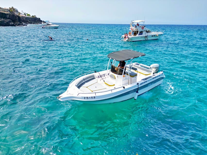 Tenerife: Private Fishing Charter, Fishing Charter With All Inclusive