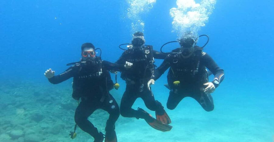 Tenerife South: Scuba Dive for Beginners in Adeje