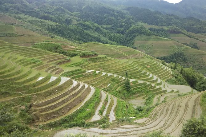 Terraced Field Impression and Minority People’s Village Private Excursion Tour