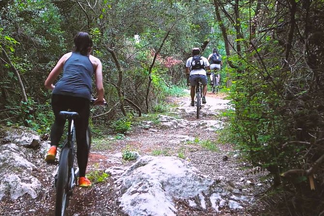 Thalangama Wetland Cycling Tour From Mount Lavinia - What To Expect and Pricing