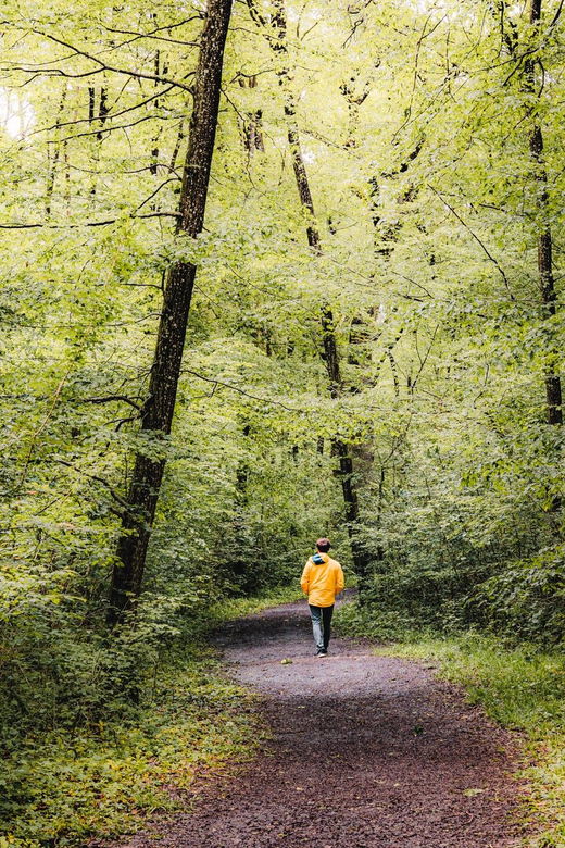 The Doors of Champagne: Private Guided Tour - Pricing and Booking Details