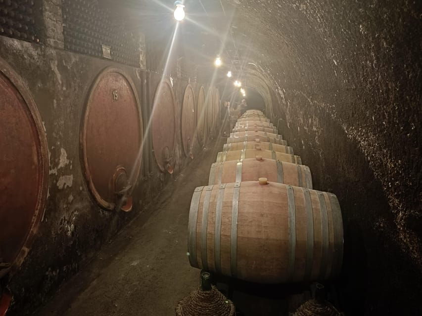 2 Best City Tours In Civitavecchia