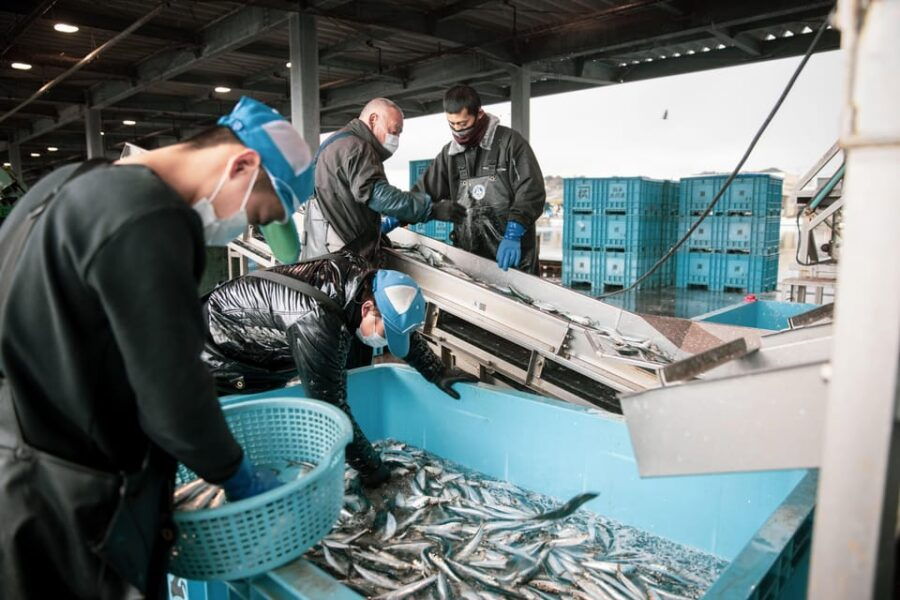 The Finest Ocean Gastronomy Tour. - Tour Overview and Pricing