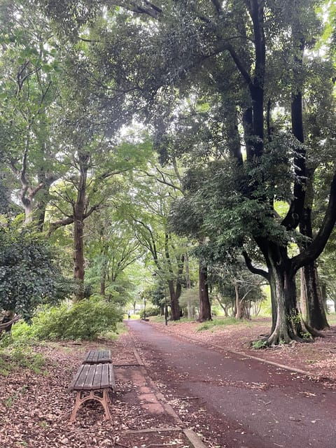 Tokyo: 1day Relaxing Guided Retreat for Solo-Trip Girls♡ - Overview of the Retreat