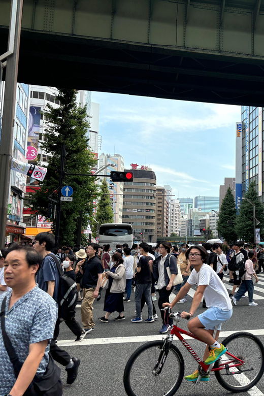 Tokyo: Akihabara Anime and Gaming Private Tour - Tour Overview