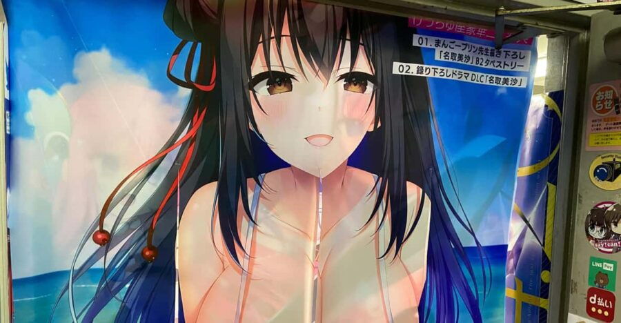 Tokyo: Akihabara Private Hentai Tour - Tour Overview