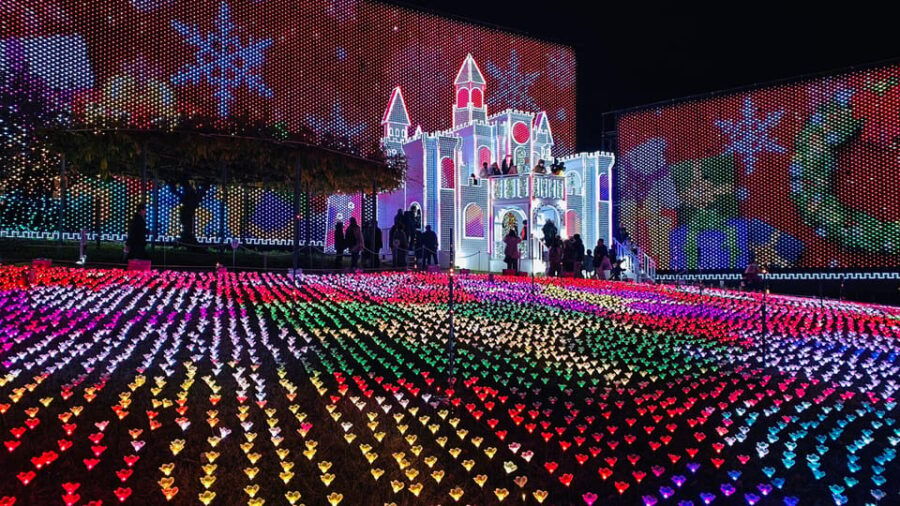 Tokyo: Ashikaga Flower Park With Entry Ticket - Overview of Ashikaga Flower Park