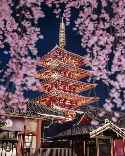 Tokyo City: Day Tour - Tour Overview and Pricing