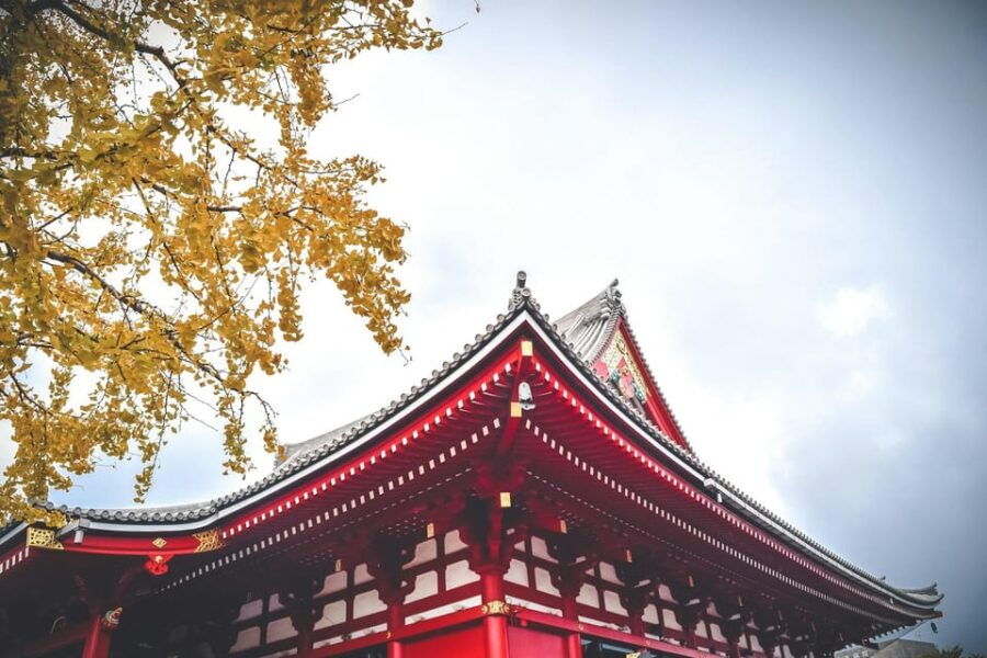 Tokyo: City Private Customized Trip With English Driver - Tour Overview and Pricing