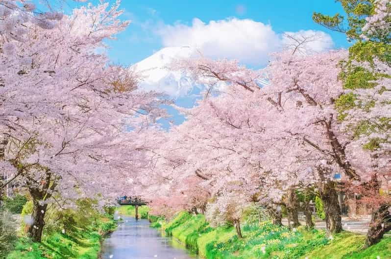 Tokyo: Fuji Wind & Ice Cave, Ninja Village & Hot Spring Tour - Tour Overview