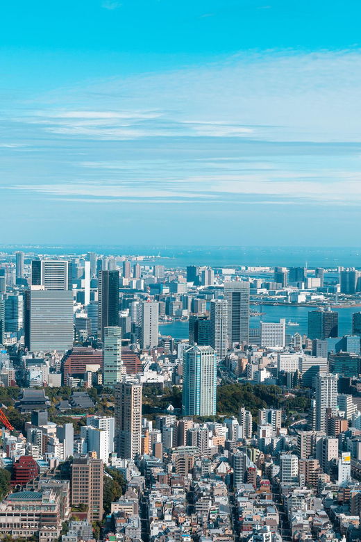 Tokyo Full-Day Trip With Daily Chauffeur