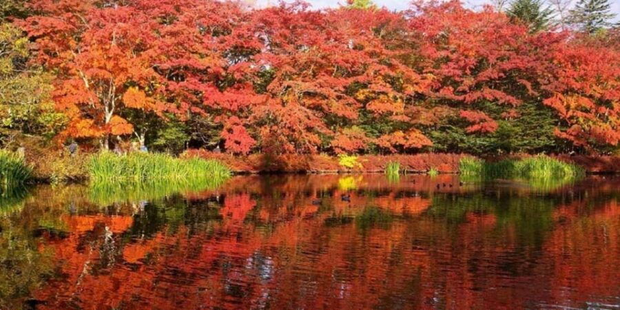 Tokyo Karuizawa,Hoshino Resorts Area,Glacier Shrine Day Tour