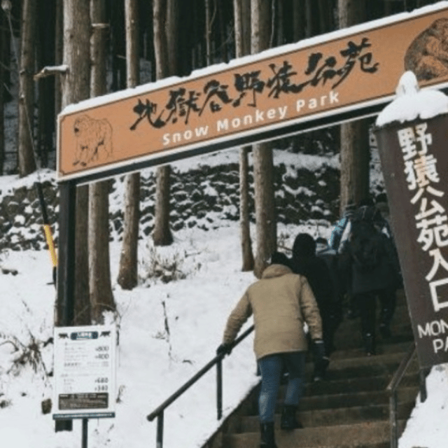 Tokyo: Luxury Snow Monkey Park Private Tour In Land Cruiser