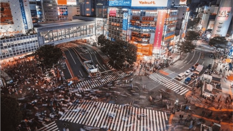 Tokyo: Luxury Tokyo Private City Tour In Luxury Land Cruiser