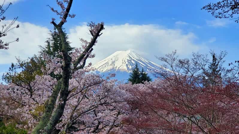 Tokyo, Mount Fuji and Hakone 3 Days Tour