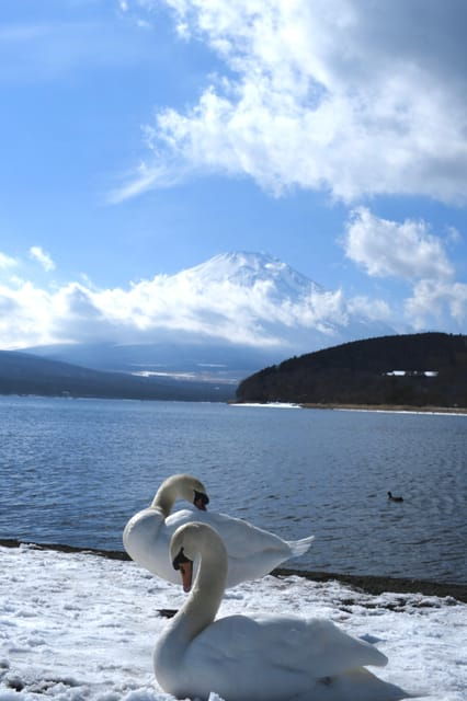 TOKYO: Mount FUJI and KAWAGUCHI Lake