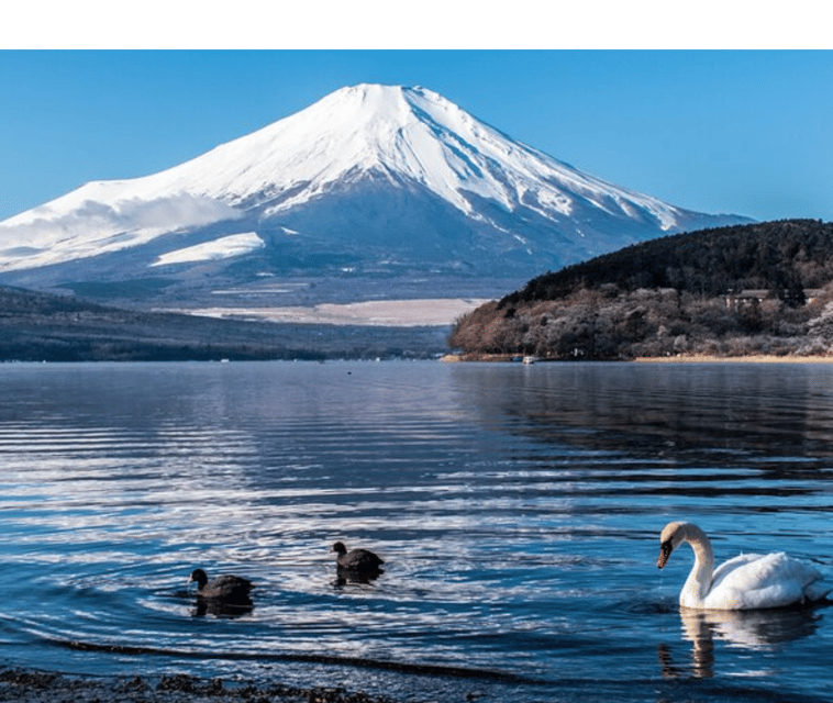 Tokyo: Mount Fuji & Hakone Tour By English Speaking Guide