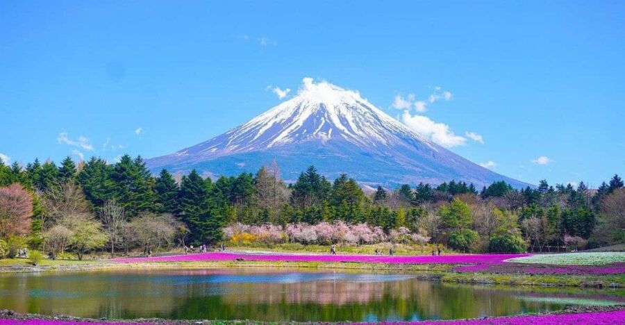 Tokyo: Mount Fuji or Hakone Customized Private Full-Day Trip