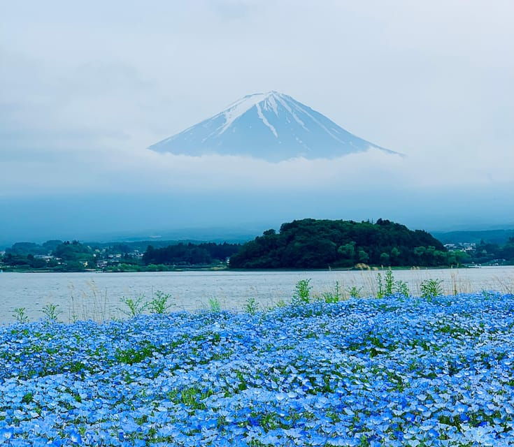 Tokyo: Mount Fuji or Hakone Customized Private Full-Day Trip