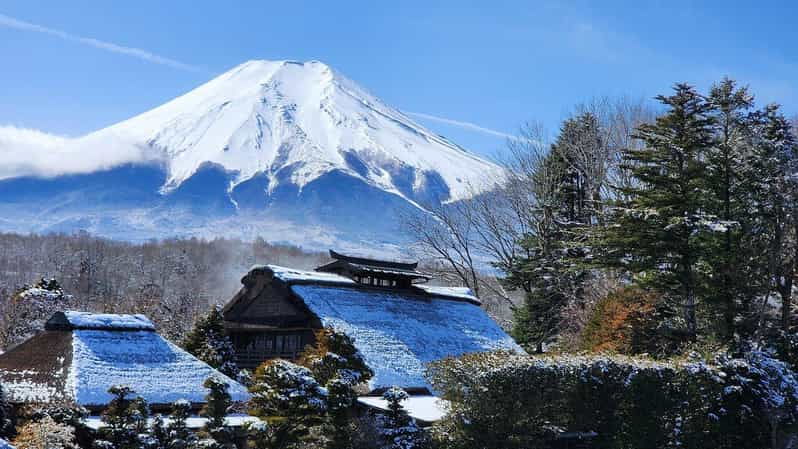 Tokyo: Mt. Fuji and Hakone 1-Day Private Tour