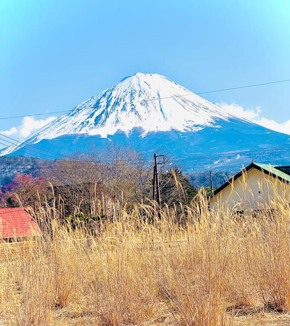 Tokyo: Mt Fuji and Hakone Full Day Private Tour
