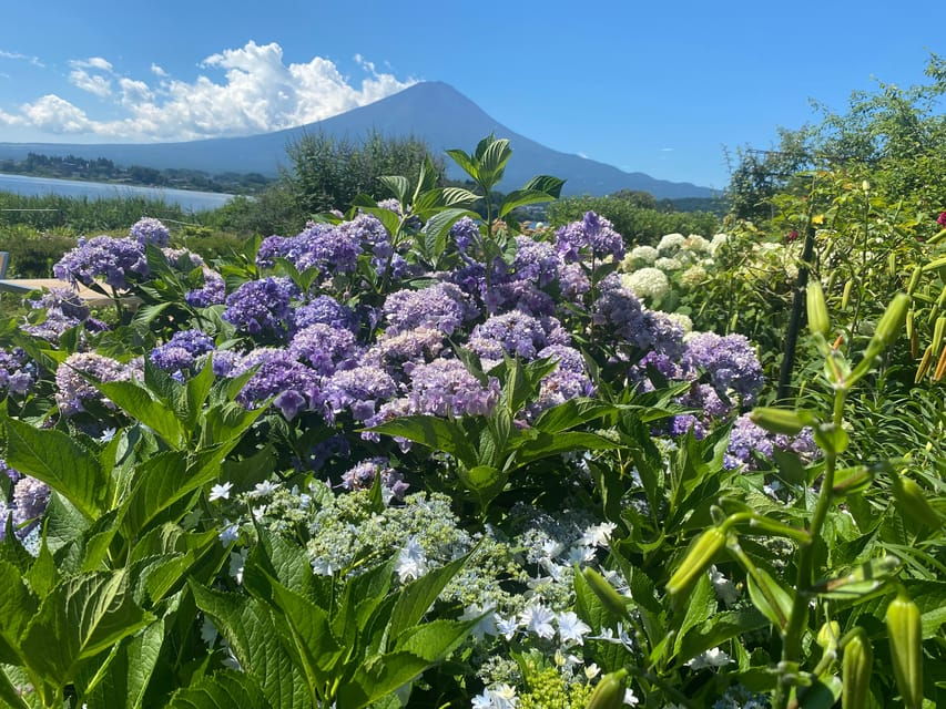 Tokyo: Private Day Trip to Mt. Fuji With Custom Itinerary