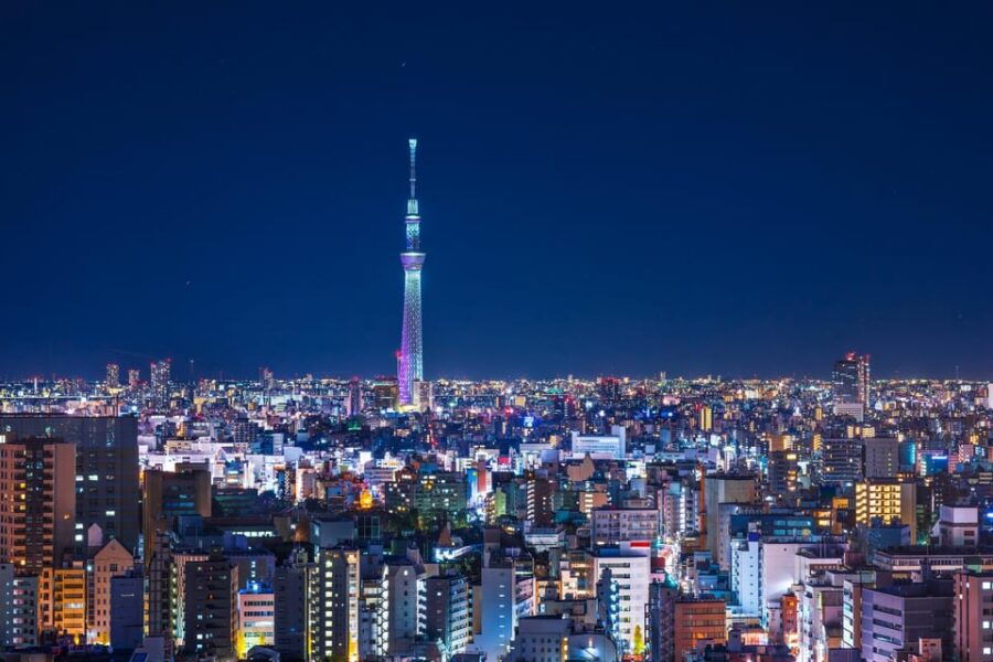 Tokyo Private Sightseeing Tour by English Speaking Chauffeur