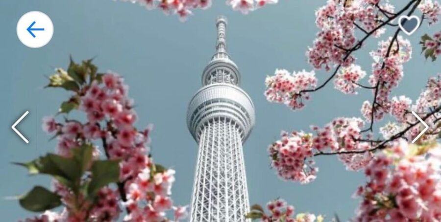 Tokyo: Private Tour by Car With English-Speaking Driver - Tour Overview and Pricing