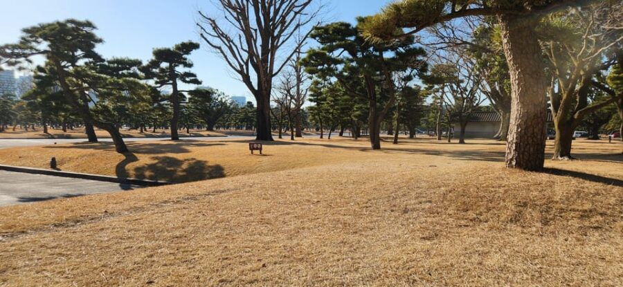 Tokyo Private Tour With English Speaking Driver - Overview of the Tour